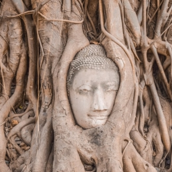 ワットマハタート